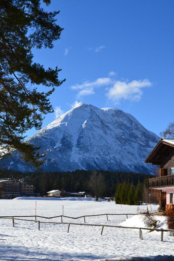 Andys Bergblick Daire Leutasch Dış mekan fotoğraf